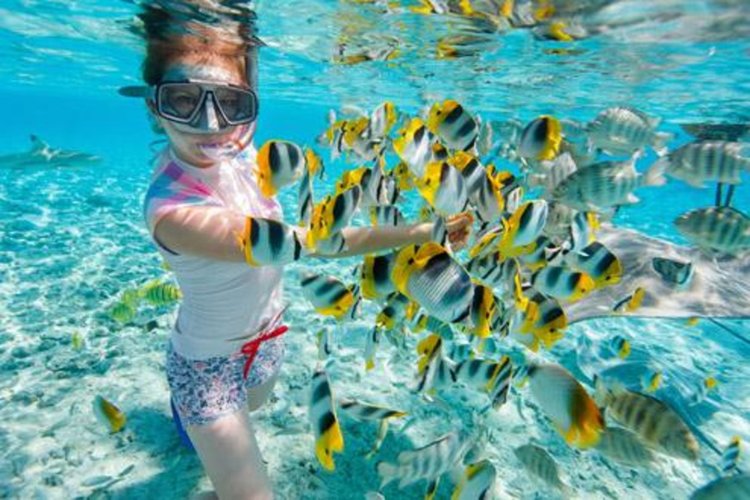 11 причини да посетите Тайланд