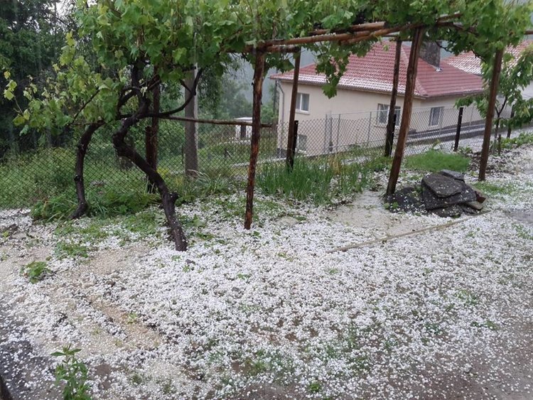 Градушка унищожи зеленчукови градини в Млечино