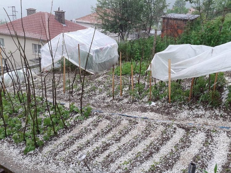 Градушка унищожи зеленчукови градини в Млечино