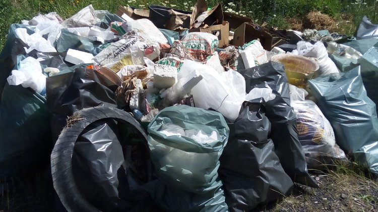 Голямото чистене - събраха 1,5 тона животински кости и над 150 чувала битови отпадъци 