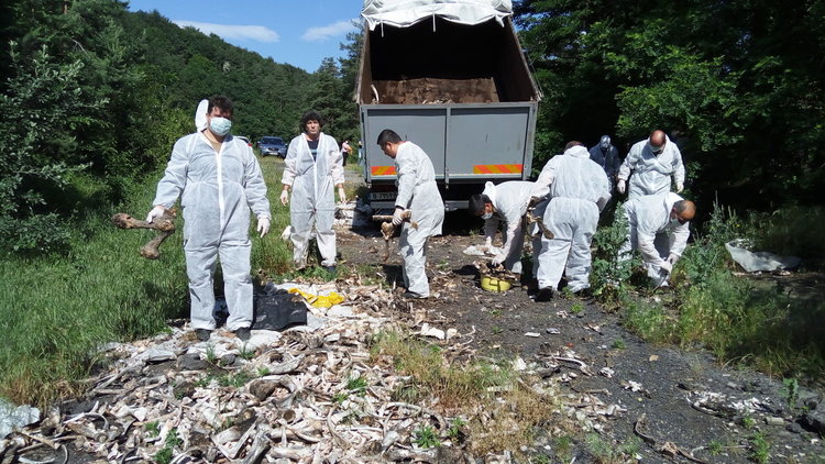 Голямото чистене - събраха 1,5 тона животински кости и над 150 чувала битови отпадъци 