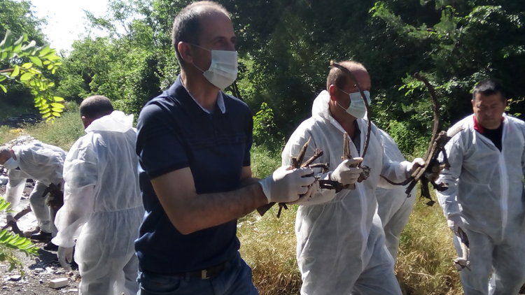 Голямото чистене - събраха 1,5 тона животински кости и над 150 чувала битови отпадъци 