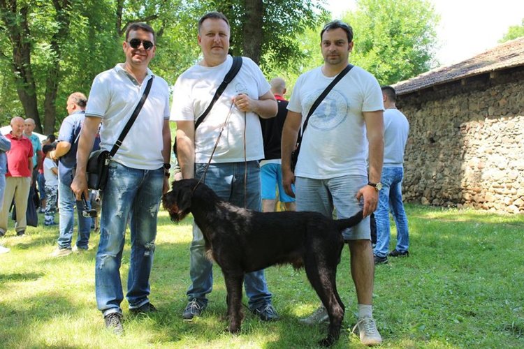 Петима млади кинолози видяха как се прави изложба в Ниш