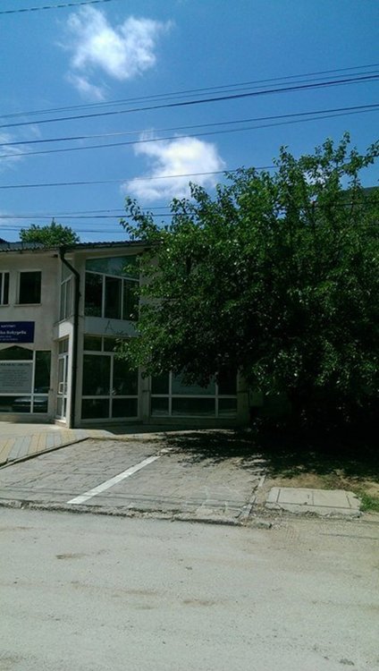 Пчели притесняват живеещите на ул.Добри Чинтулов"