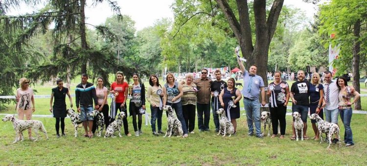 Петима млади кинолози видяха как се прави изложба в Ниш