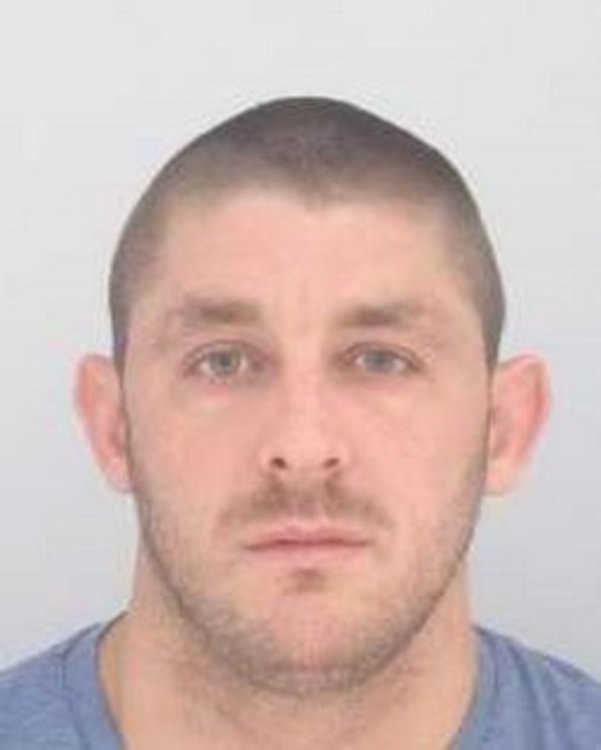 Димитър Илиев Николов