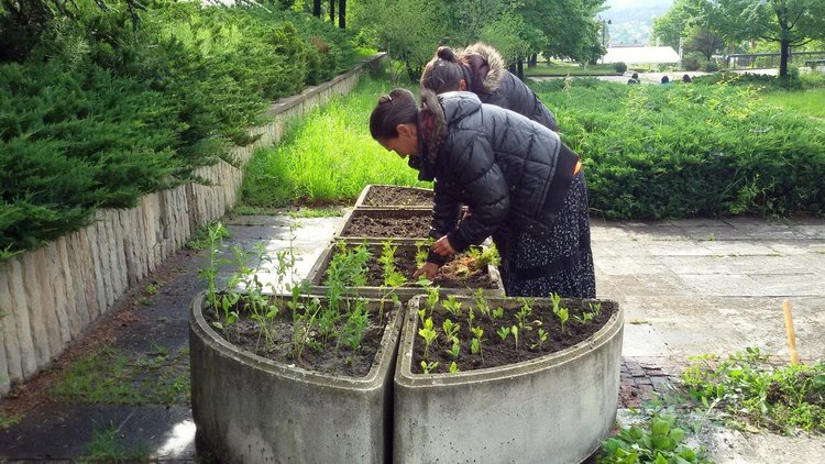 Засаждат близо 7 хиляди цветя в Смолян