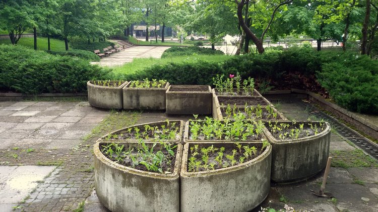 Засаждат близо 7 хиляди цветя в Смолян