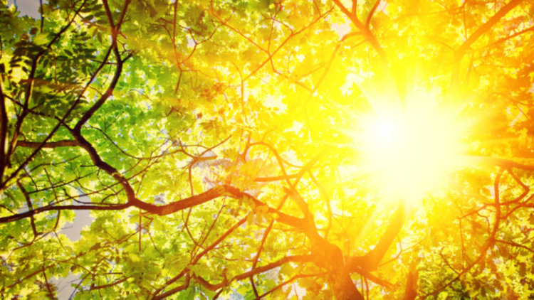 Слънчево и топло, малко дъжд в планините