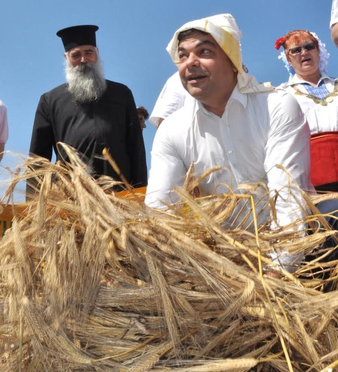 Малки моми зажънаха ечемика в село Странско