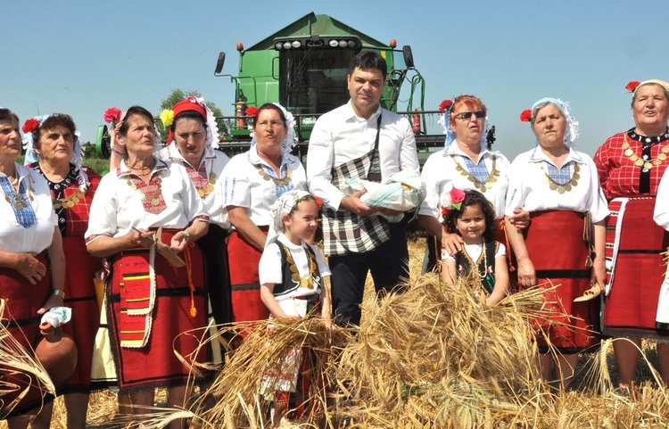 Малки моми зажънаха ечемика в село Странско