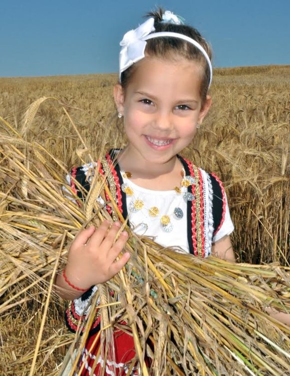 Малки моми зажънаха ечемика в село Странско