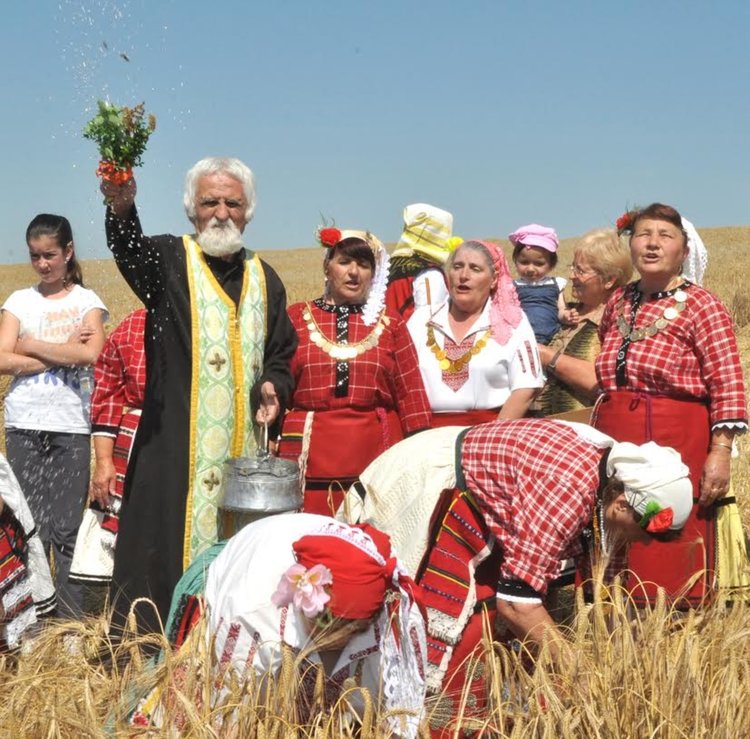 За успеха на жътвената кампания бе отслужен водосвет