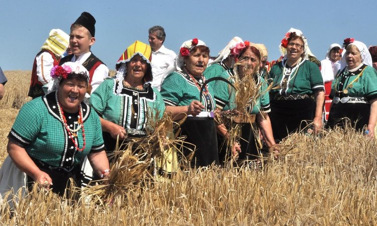 Малки моми зажънаха ечемика в село Странско