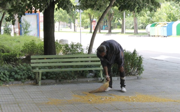 Прибират пак липовия цвят от тротоарите в Димитровград