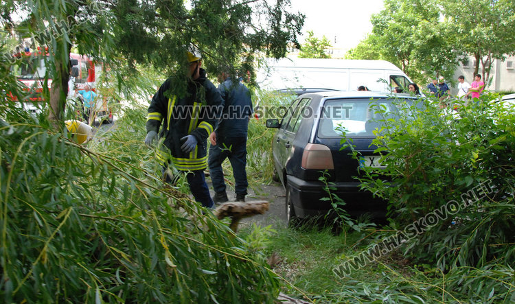 Дърво се стовари върху кола в „Орфей“ край играещи деца