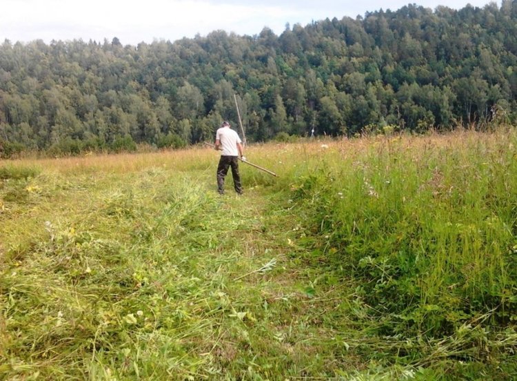 Стопани се жалват от съселяни, окосили им ливадите