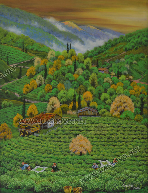 41 платна от Турция, Ирак и Косово в „Шаренков“