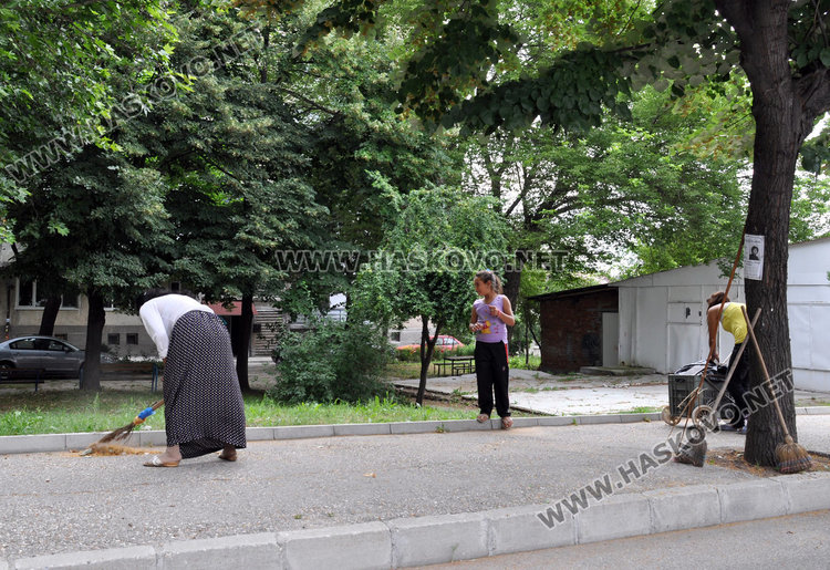 До 500 лева глоба за бране на липов цвят в Хасково
