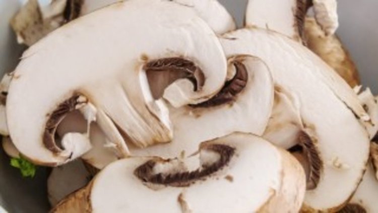 В Хасково няма от отровните полски гъби