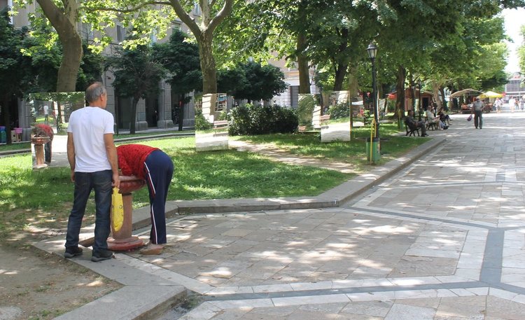 Чешмата на бул."България"