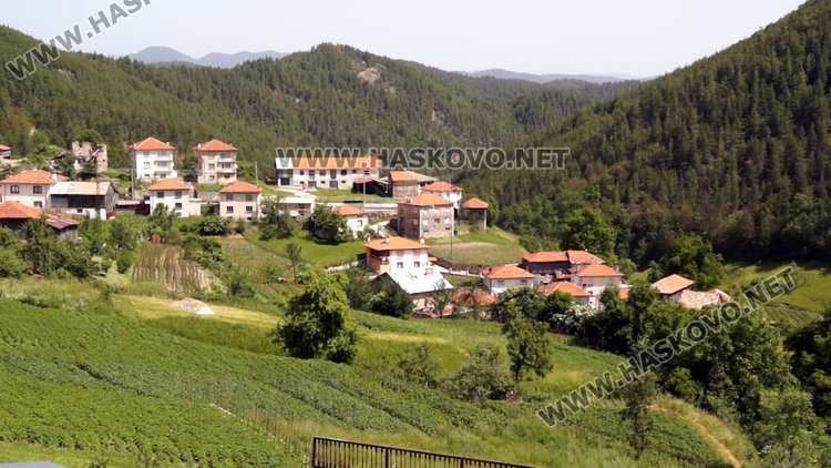 Люлка е малка махала, в която всички се препитават от гората