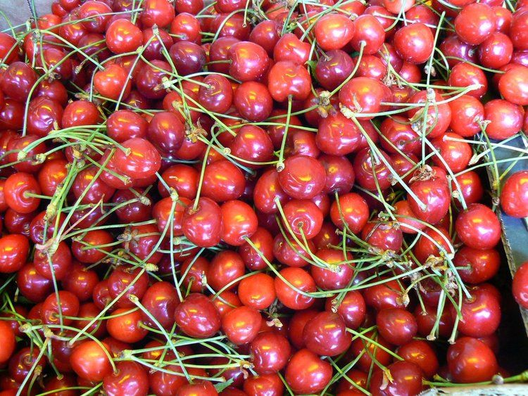 По з лв. за кг. се продават черешите преди Задушница