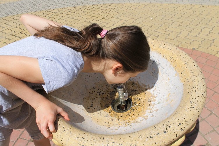 Чешвмата пред Градска библиотека "П.Пенев"