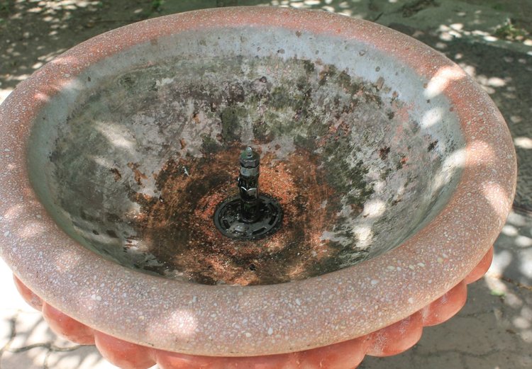 Чешмата до ПМГ Иван Вазов