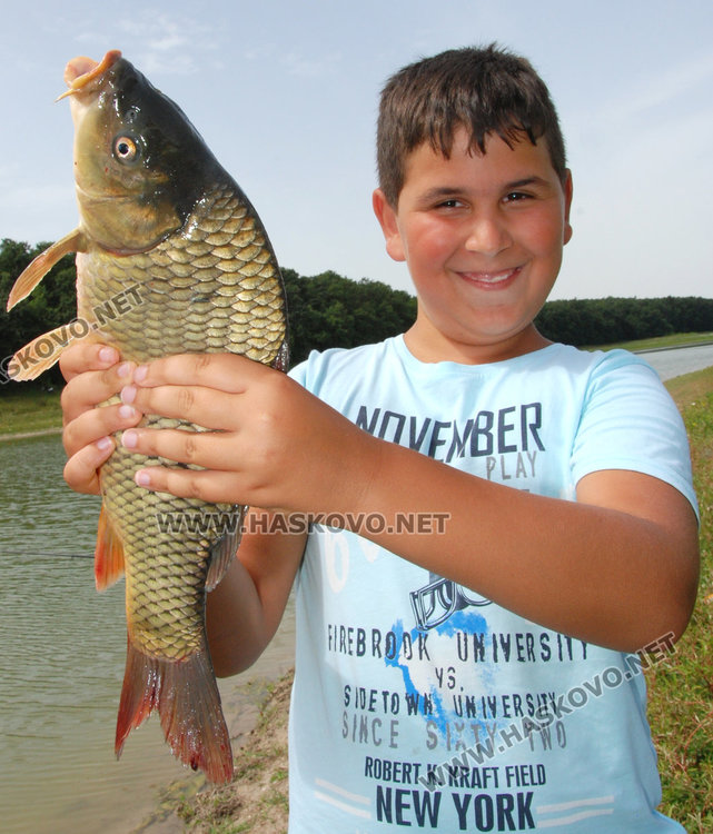 Малкият Бейтула