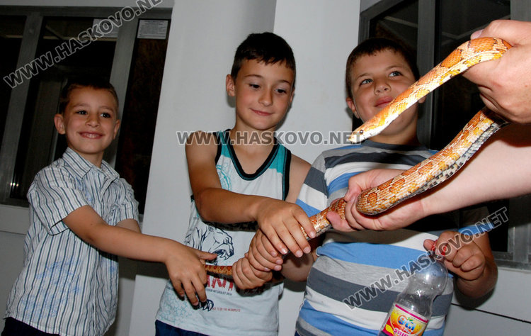 Питонът-беглец в Баните оцеля, днес откриха официално Терариума