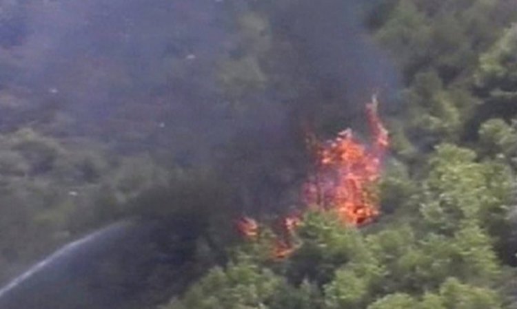 Горски пожари в Кипър взеха жертви  