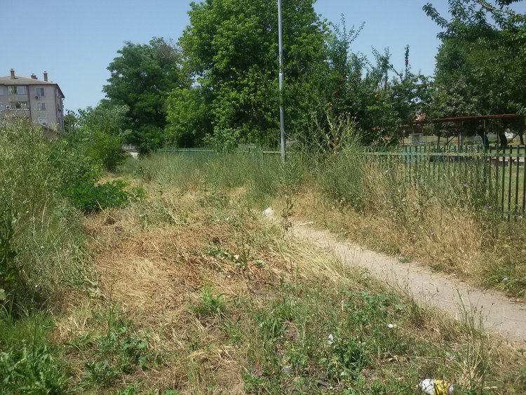 Поляна се превърна в змиярник - оплакват се живеещи близо до ОДЗ "8 март"