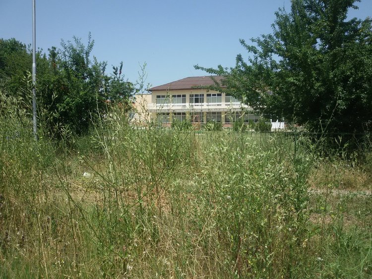 Поляна се превърна в змиярник - оплакват се живеещи близо до ОДЗ "8 март"