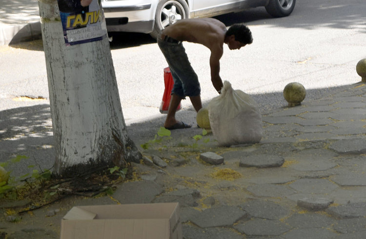 Ромски бригади метат безплатно улиците на Кърджали,събират липов цвят и смет за износ