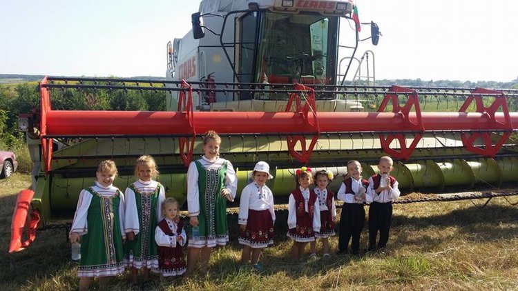 В Бряст започна жътвата на ечемика