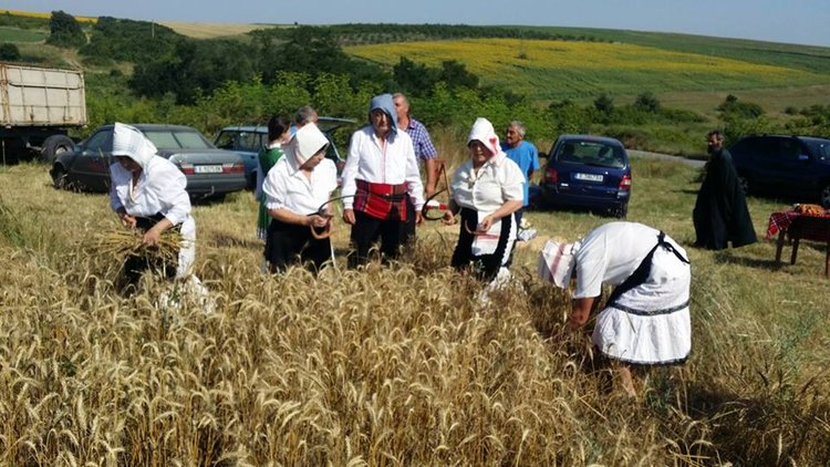 Ритуалът "зажънване" бе изпълнен за 10-та година