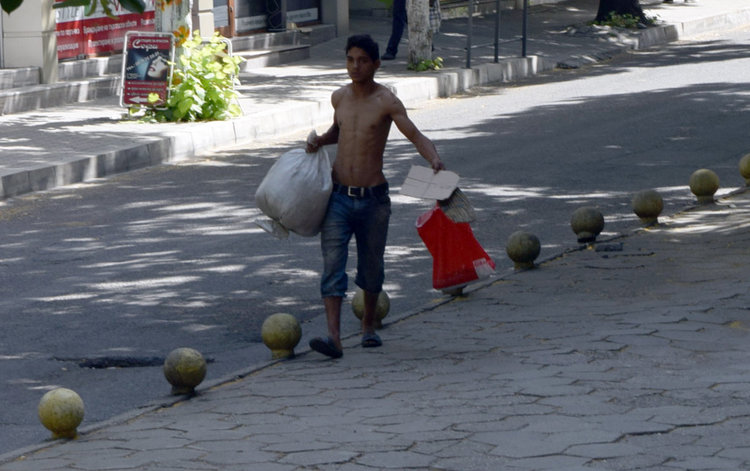 Ромски бригади метат безплатно улиците на Кърджали,събират липов цвят и смет за износ