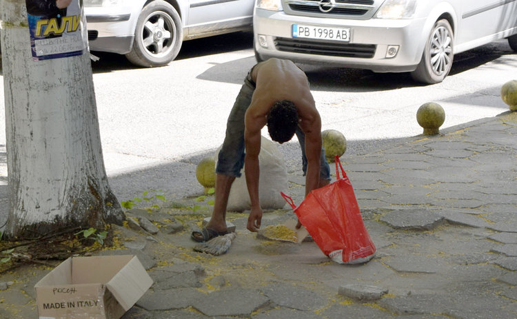Ромски бригади метат безплатно улиците на Кърджали,събират липов цвят и смет за износ
