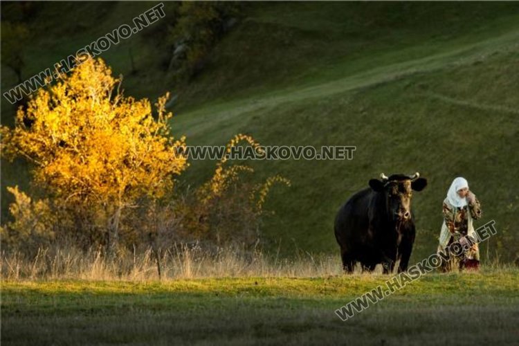 Златко Латев журира 9-тия Международен фотографски салон във Варна