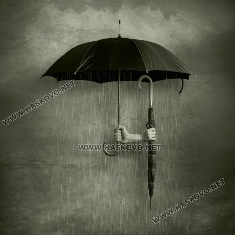 Златко Латев журира 9-тия Международен фотографски салон във Варна