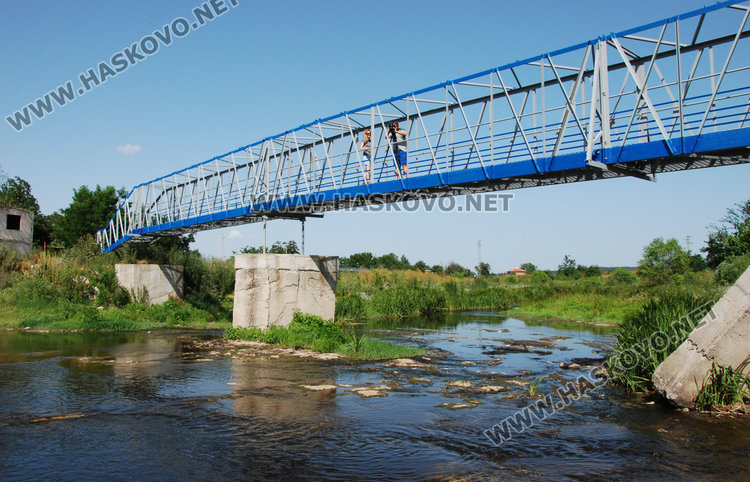 Рибата в река Банска мре. Добрич: тровят я