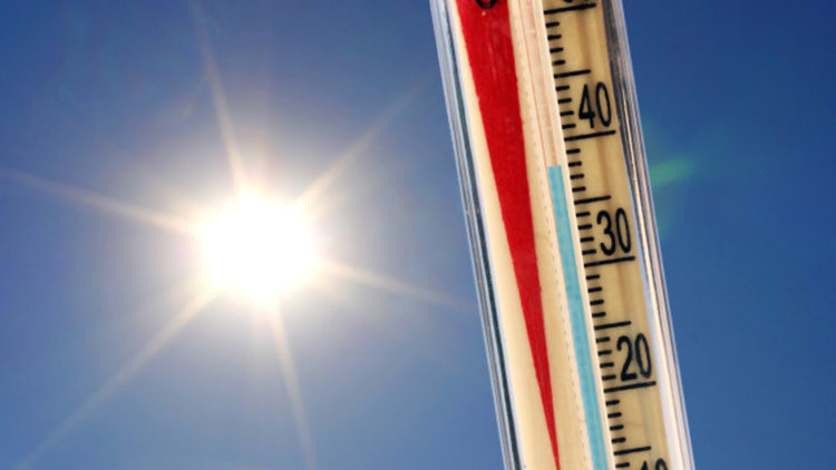 13 души станаха жертва на жегата в Румъния