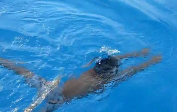 "Шарена ваканция" за стотици момичета и момчета в Асеновград