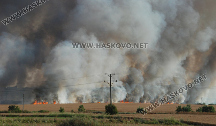 500 дка жито пламнаха на метри от "Ретро ауто" на екскмета на Хасково 