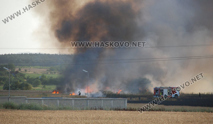 500 дка жито пламнаха на метри от "Ретро ауто" на екскмета на Хасково 