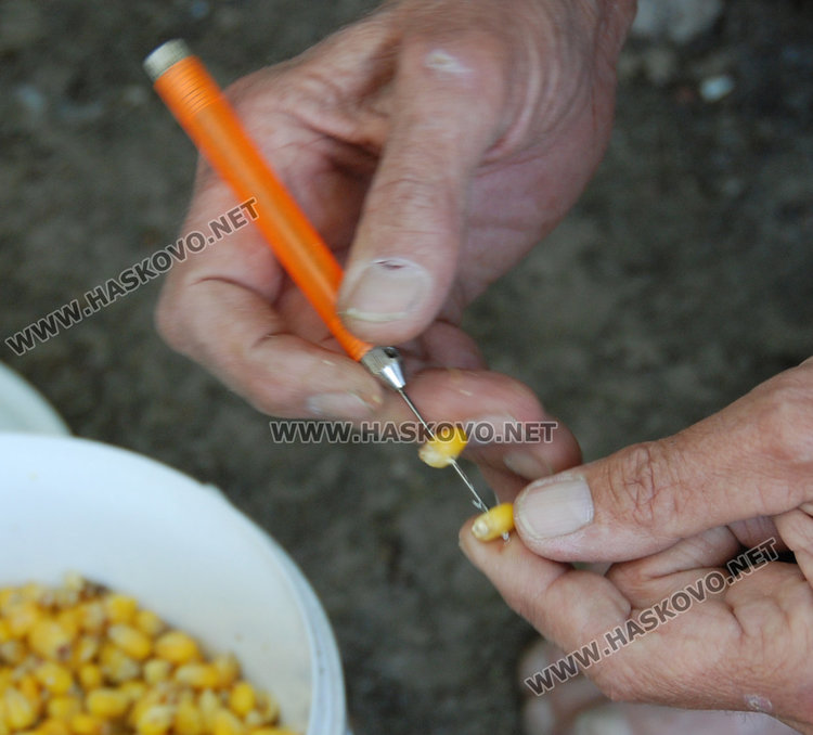 Майстор-рибар разкрива тайните на големия улов по Марица