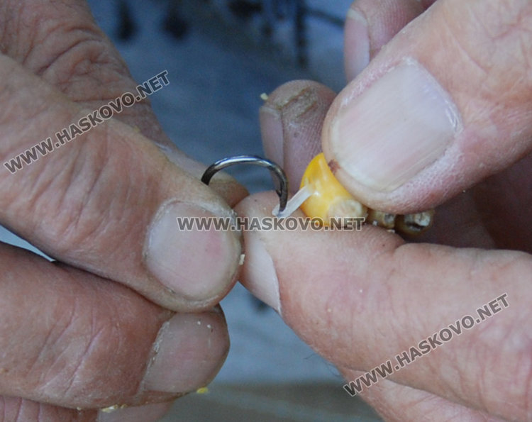 Майстор-рибар разкрива тайните на големия улов по Марица