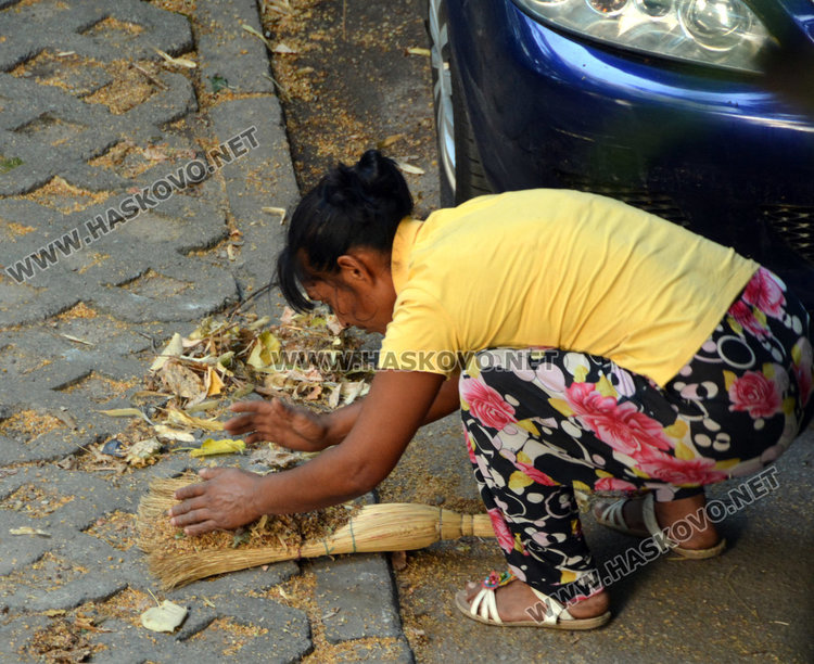 Продължават да метат липов цвят от улиците, бил за козметика, не за чай