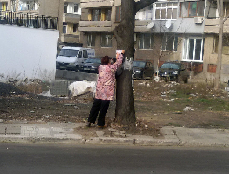 Вандали изпокъсаха  некролози в центъра на Кърджали, поругаха паметта на покойниците     